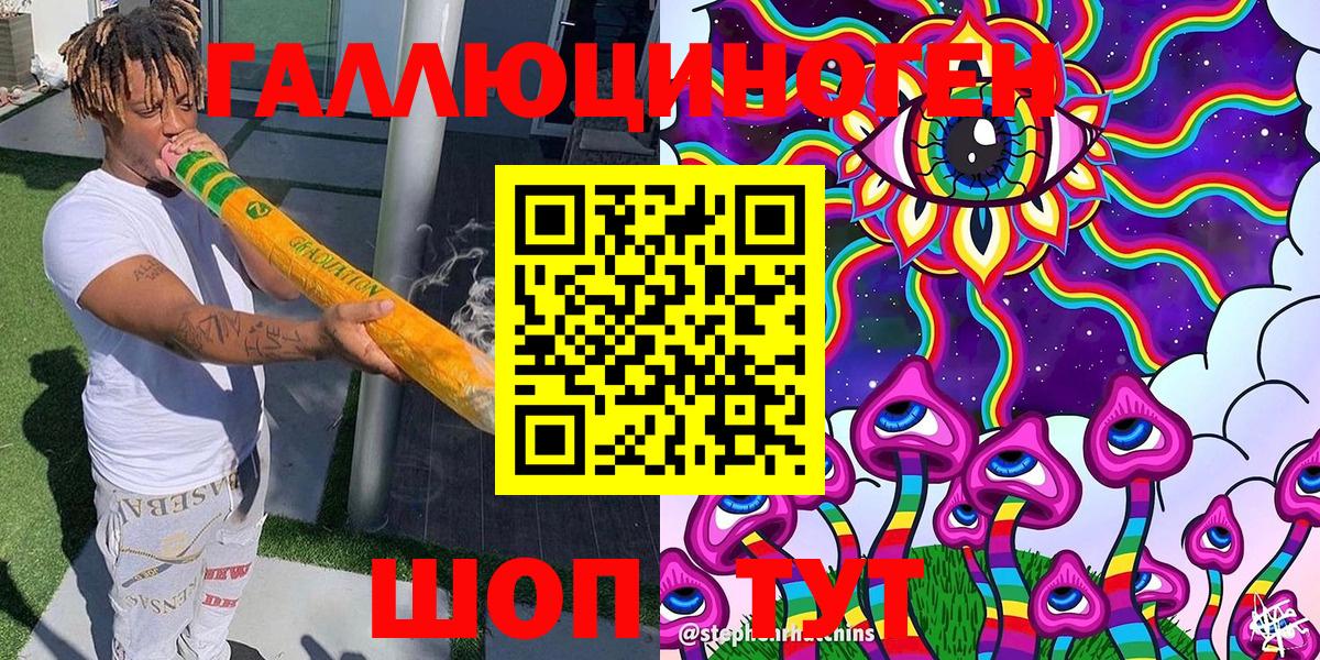 Галлюциногенные грибы Psilocybine cubensis Химки