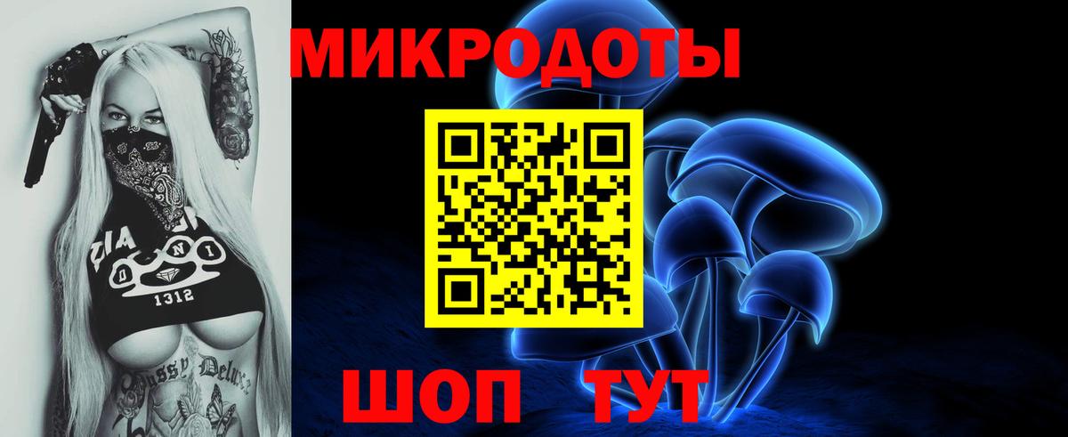 Псилоцибиновые грибы Cubensis  Вход с VPN  Химки 